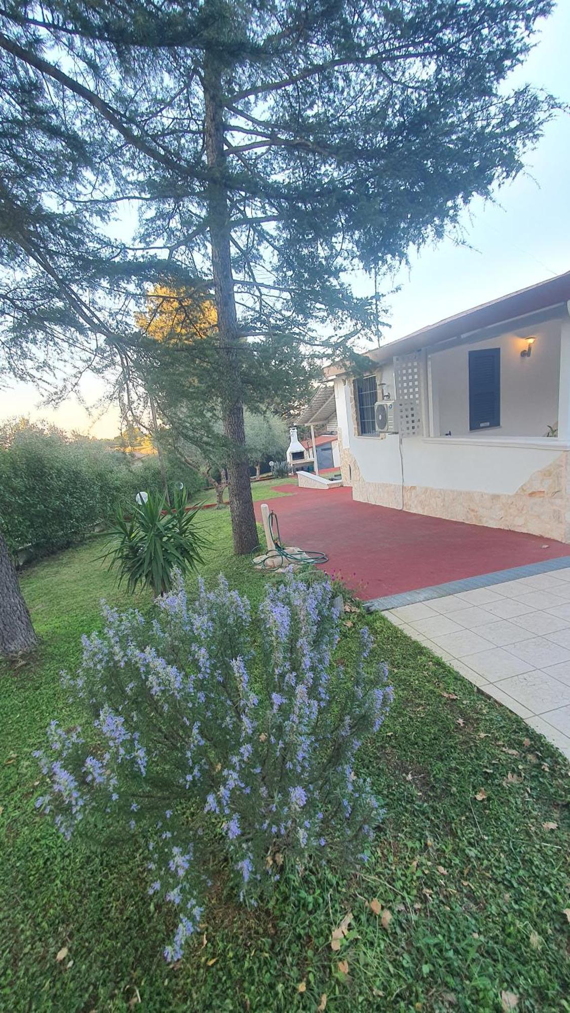 Mercadante - Luxury Holiday House Cassano delle Murge Exterior photo