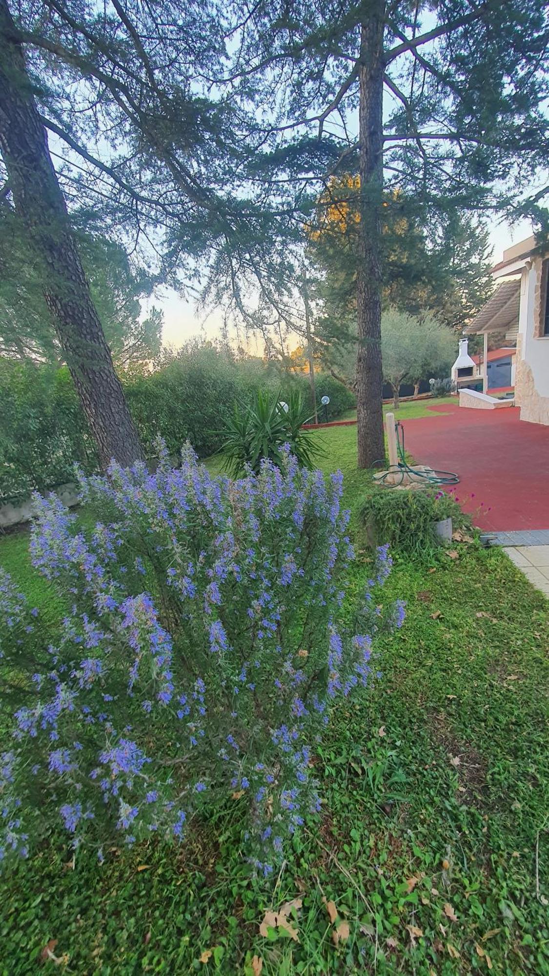 Mercadante - Luxury Holiday House Cassano delle Murge Exterior photo